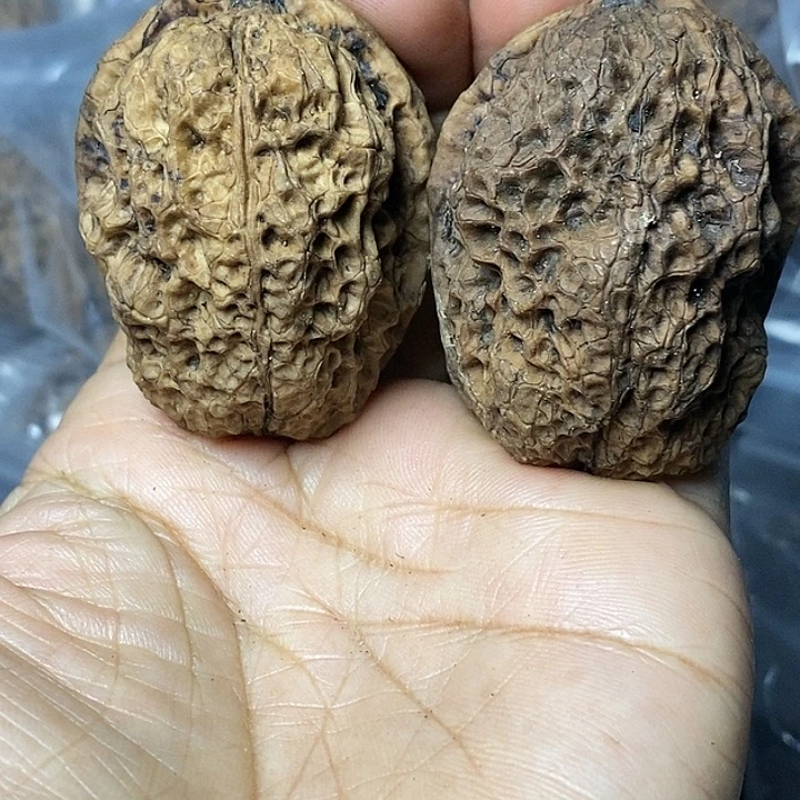 把件文玩核桃云南铁核桃65