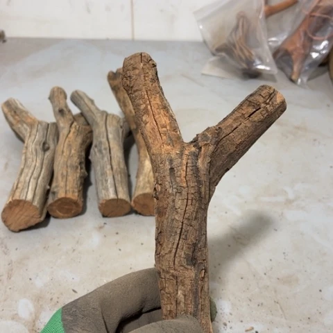 大果紫檀（缅甸花梨）上***花