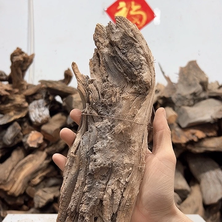 柏木1****2我们的生活是以自己为中心