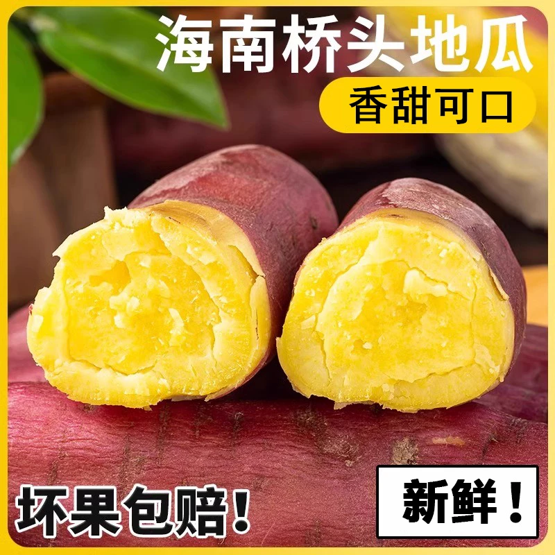 正宗海南桥头地瓜新鲜黄心沙地板栗红薯新鲜现挖番薯地瓜