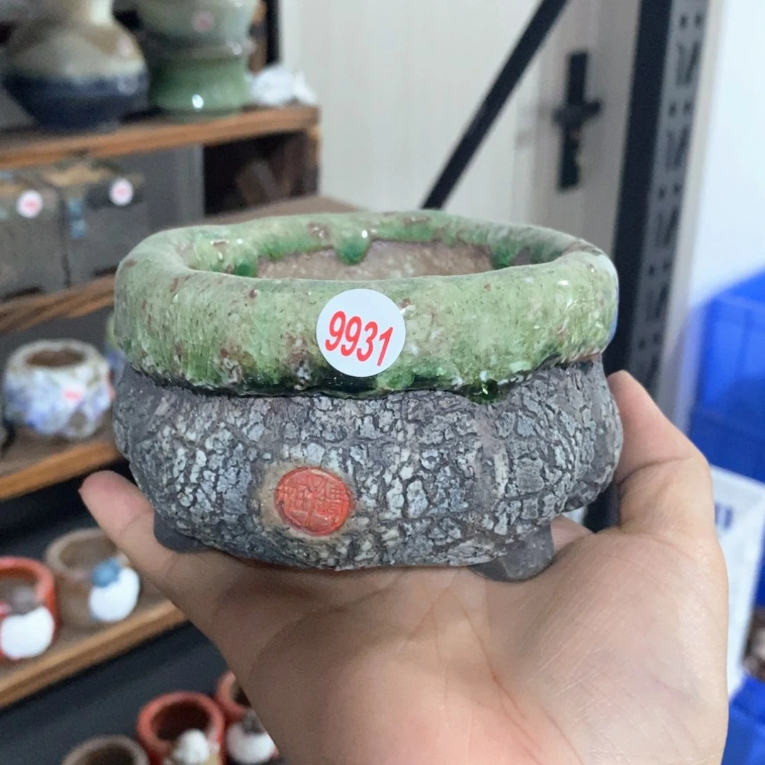 拍5送一个小礼物