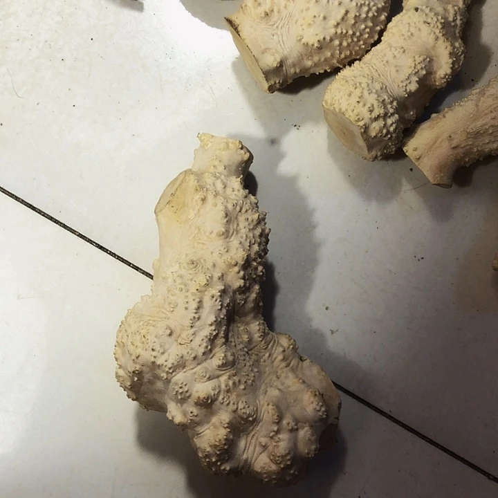 旦***木木料木料木料木料