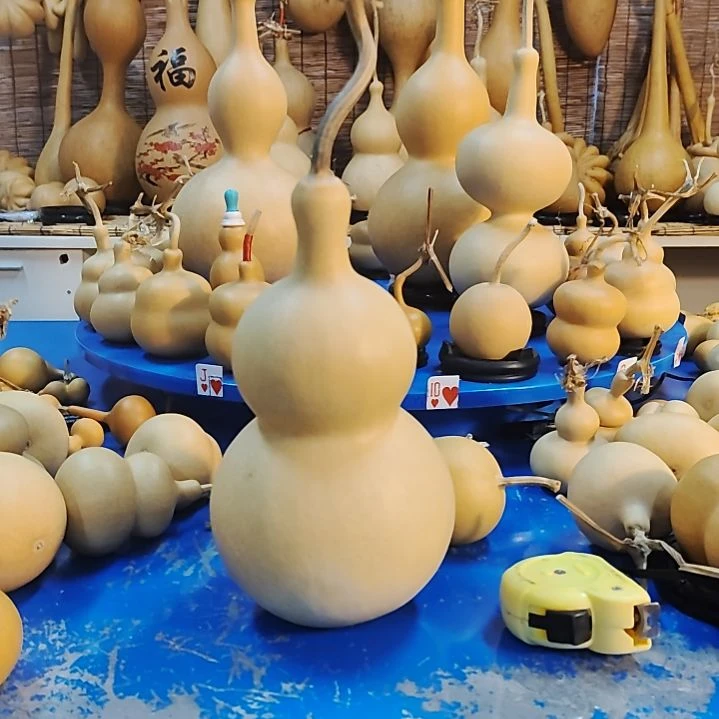 广****n他他他他他他他他他他