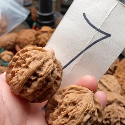 桃核吊坠37全品全家福野狼