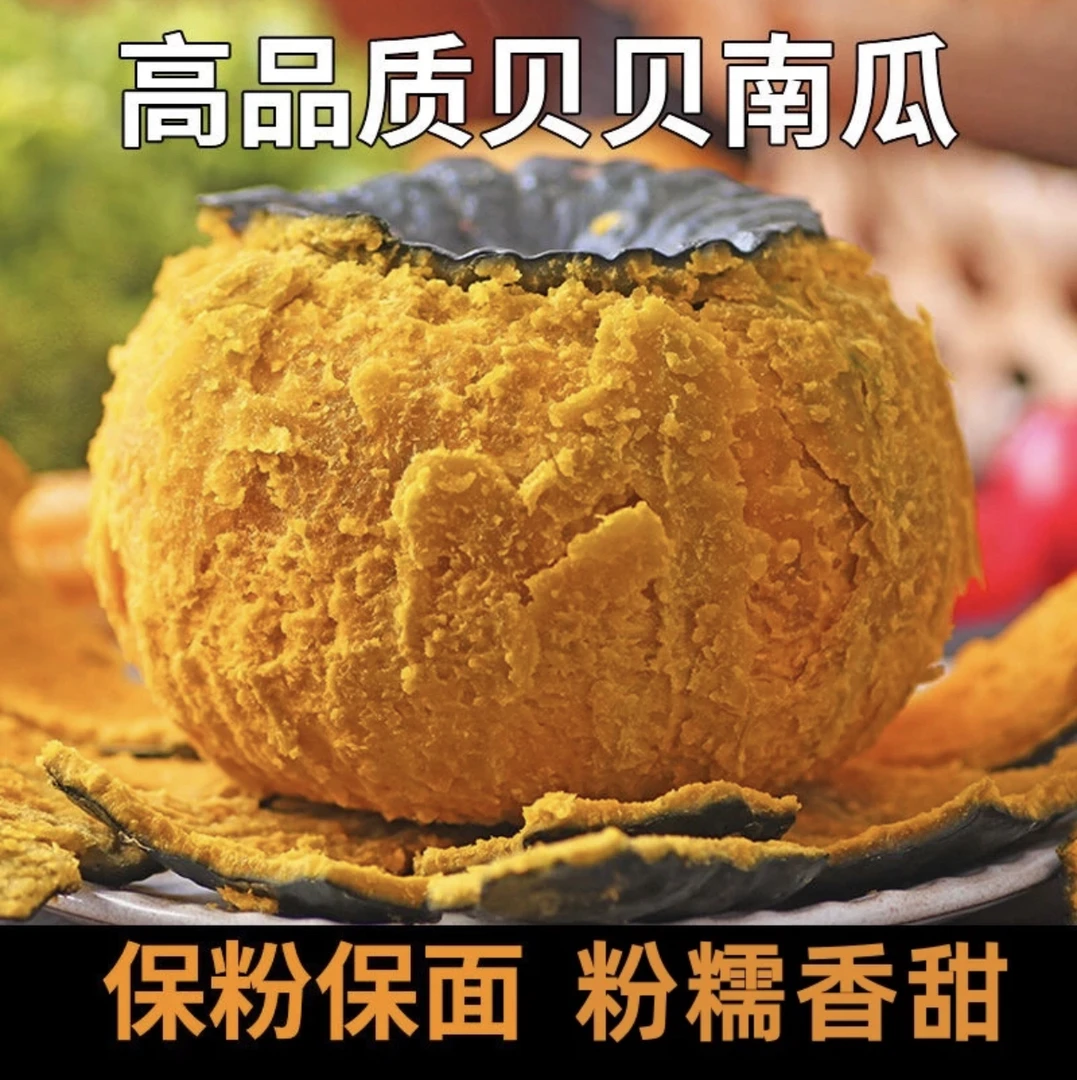 沙地贝贝南瓜新鲜采摘粉糯香甜适合辅食代餐健康早餐美食