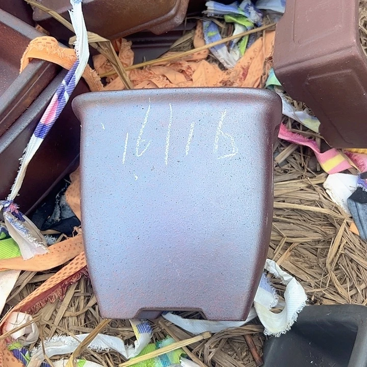 瑕疵吃瑕疵吃吸血虫瑕疵