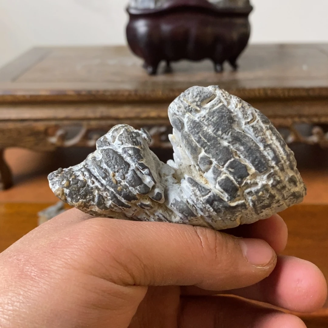 小***熊ndbdbdbddbbxbxbxbx