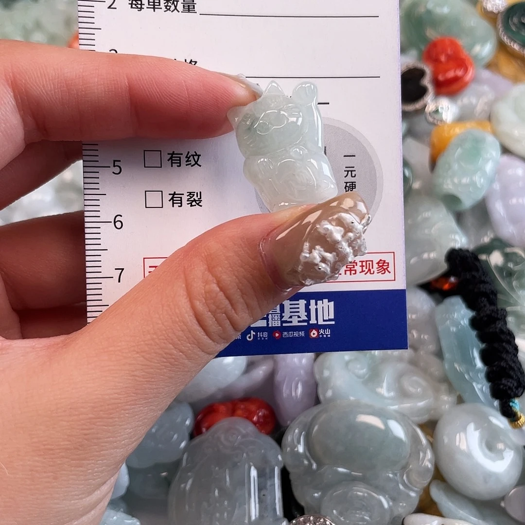 翡翠未镶嵌颈饰1646