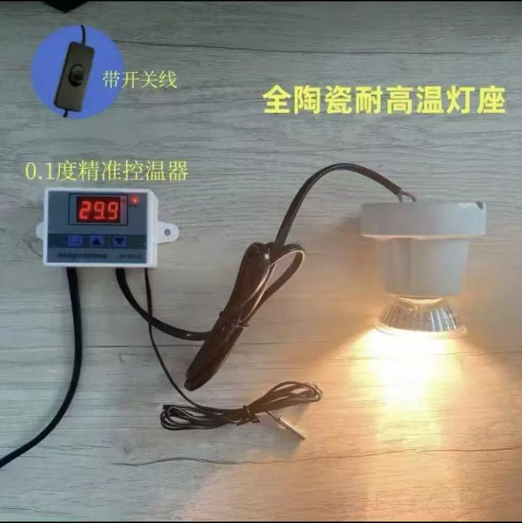 芦丁鸡宠物单头温控芦丁鸡保温灯适用于鹌鹑爬宠鹦鹉小鸡取暖保暖