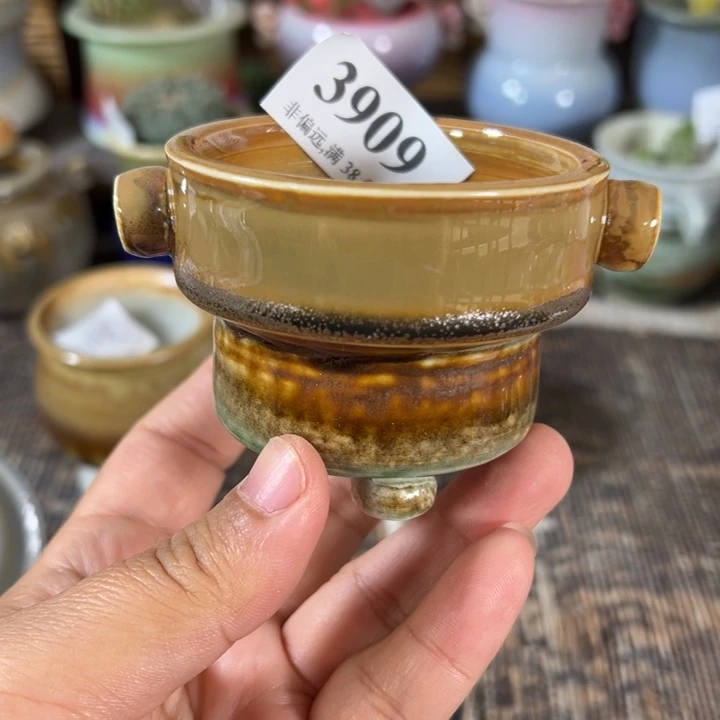 口6 未满30运费到付