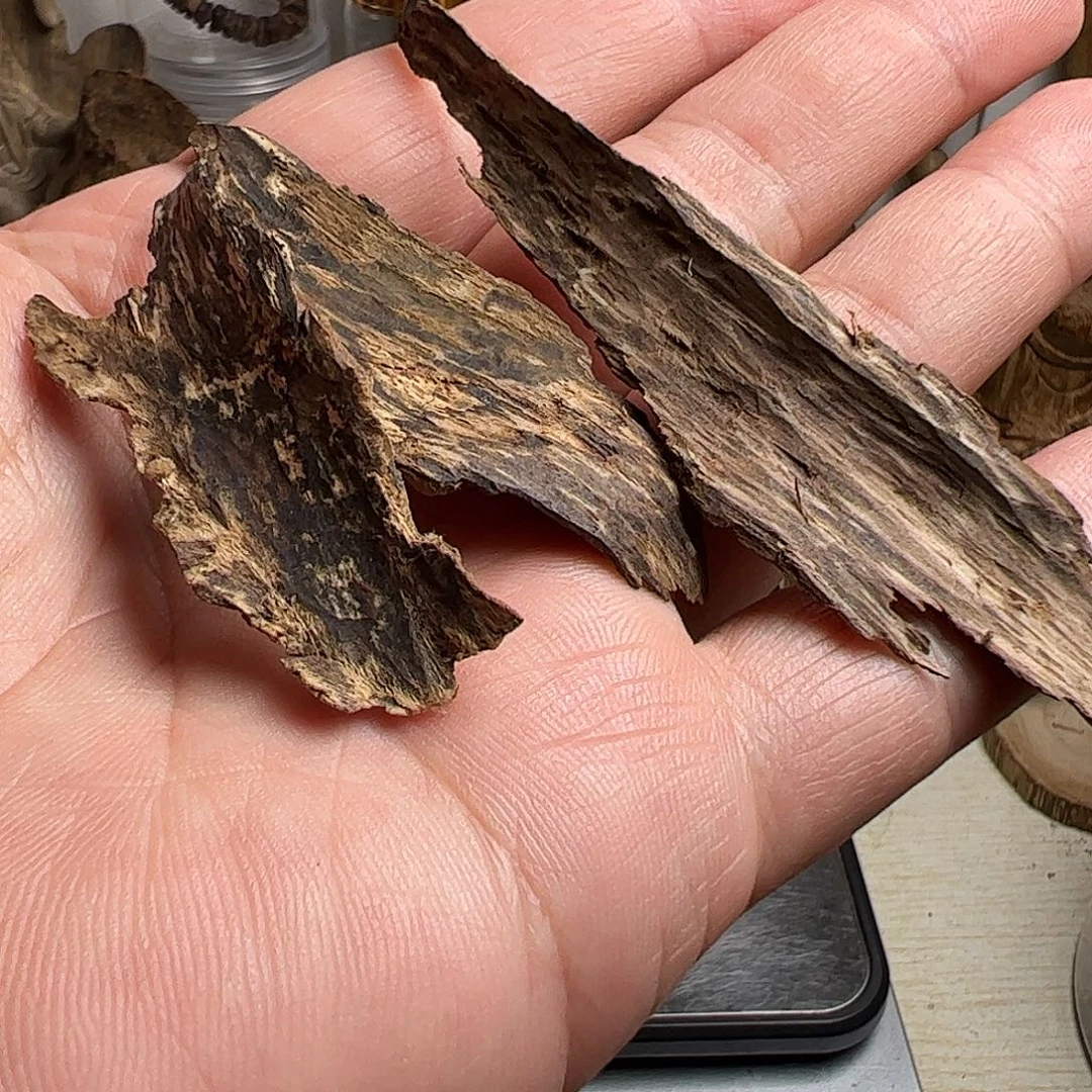 沉香碎屑沉香菩萨棋沉香树皮3克