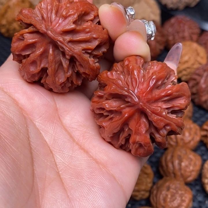 秦岭野生0000000000022