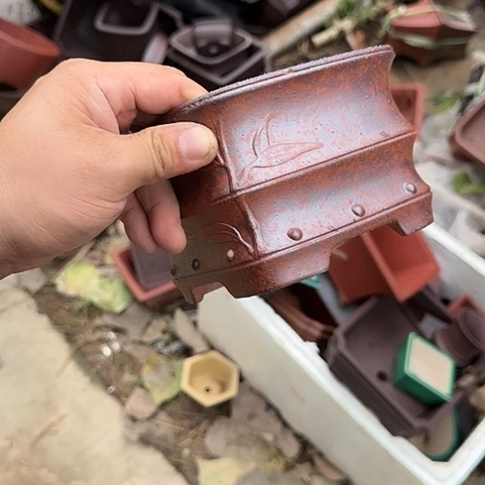 是一个不知名作家与著名导演