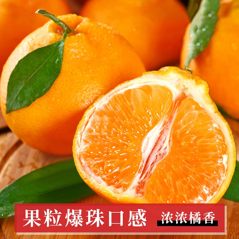 正宗四川耙耙柑严选大果芦柑皮薄甜多汁柑橘新鲜孕妇儿童水果蜜桔
