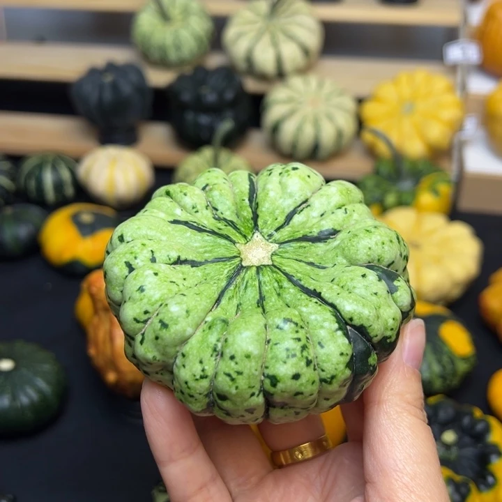 忆**乙福利福利福利福利