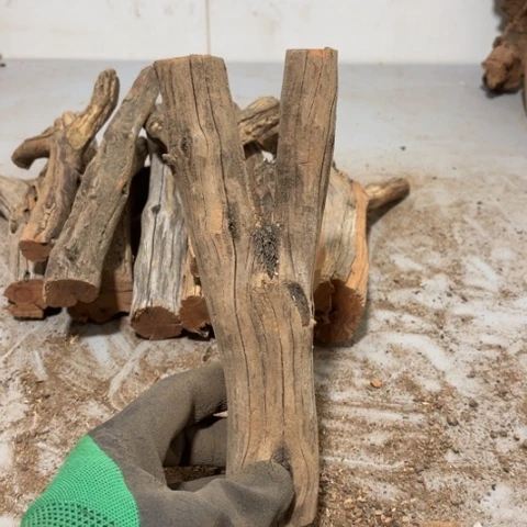 大果紫檀（缅甸花梨）夏*