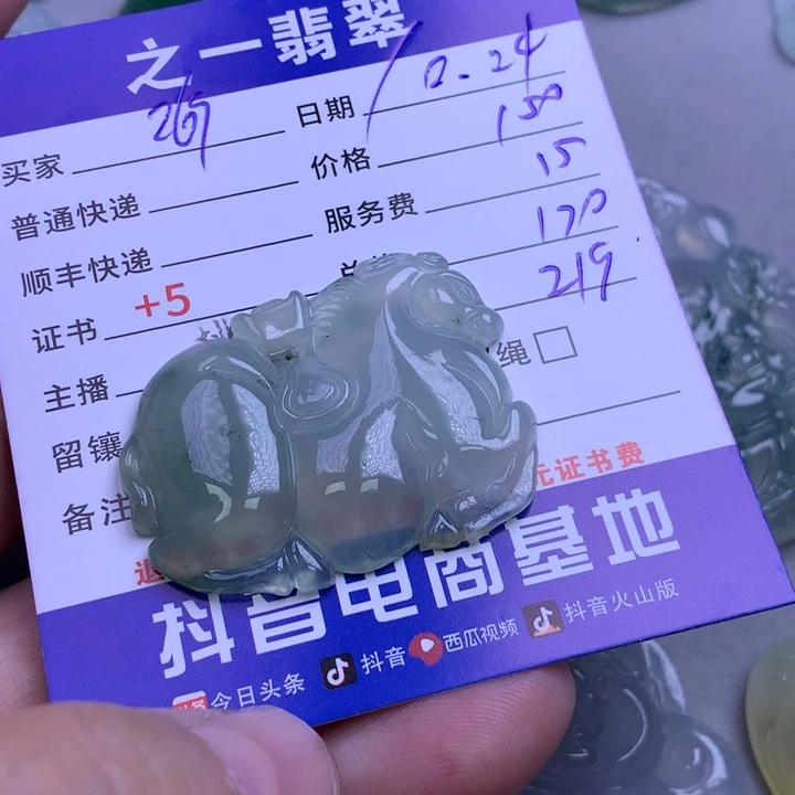 颈饰未镶嵌翡翠_****1