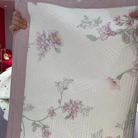 莱赛尔天丝枕套一对
