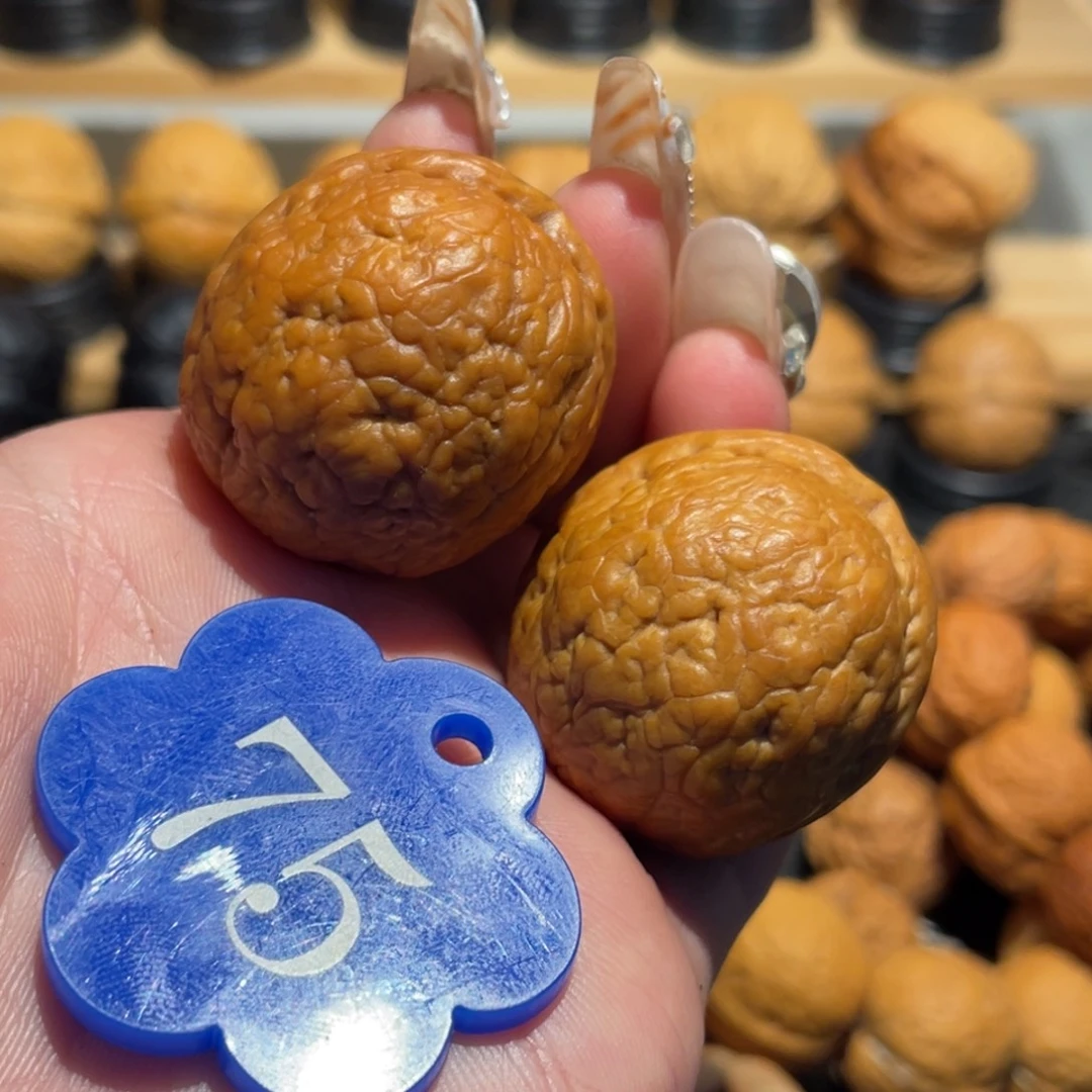 肉丸子微彩33。
