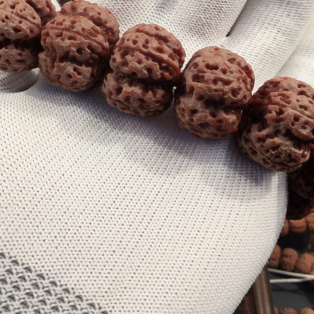 ****重金刚菩提吊坠正道龙牙定制