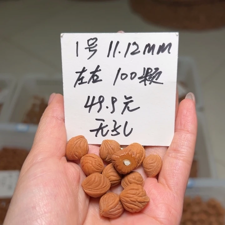 桃核吊坠1号肚卡11-12左右