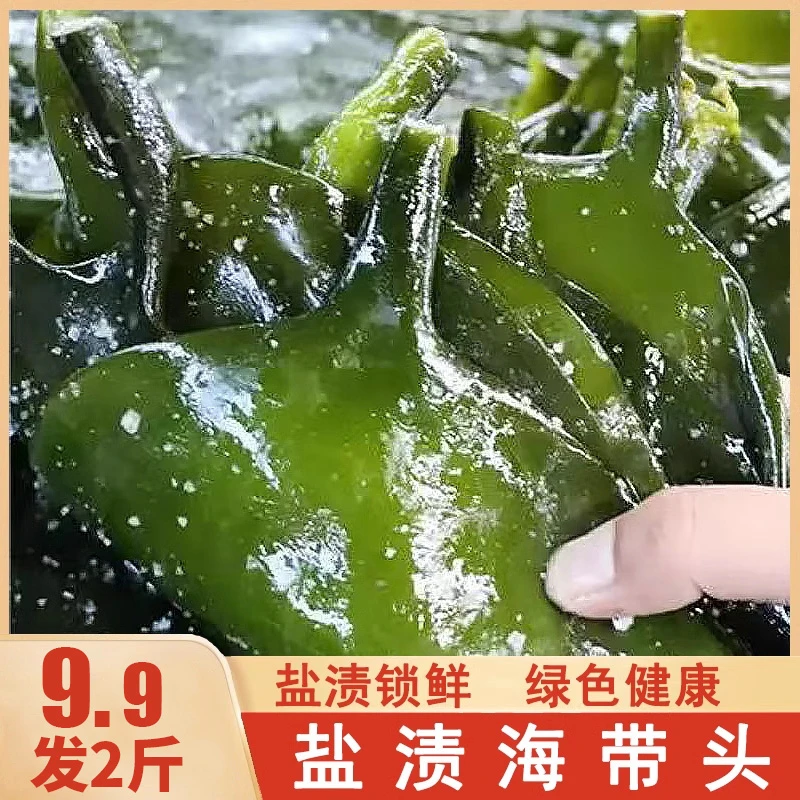 【9,9发2斤】盐渍海带头荣成新鲜炒菜火锅煲汤厚实营养低脂食材