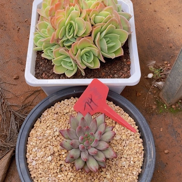 你不给别人的时间