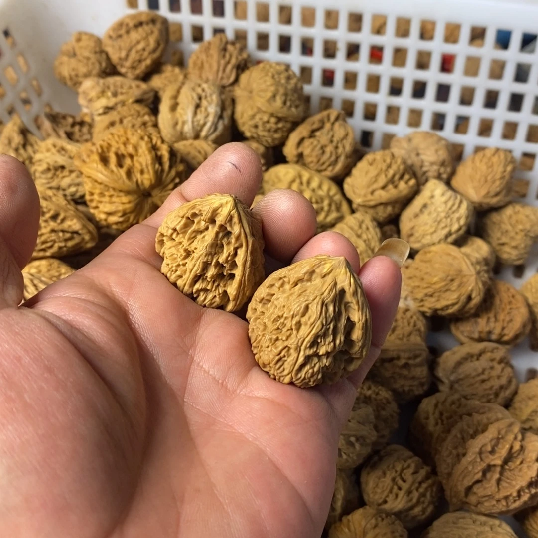 顾***.大叶紫檀（黑酸枝木类）