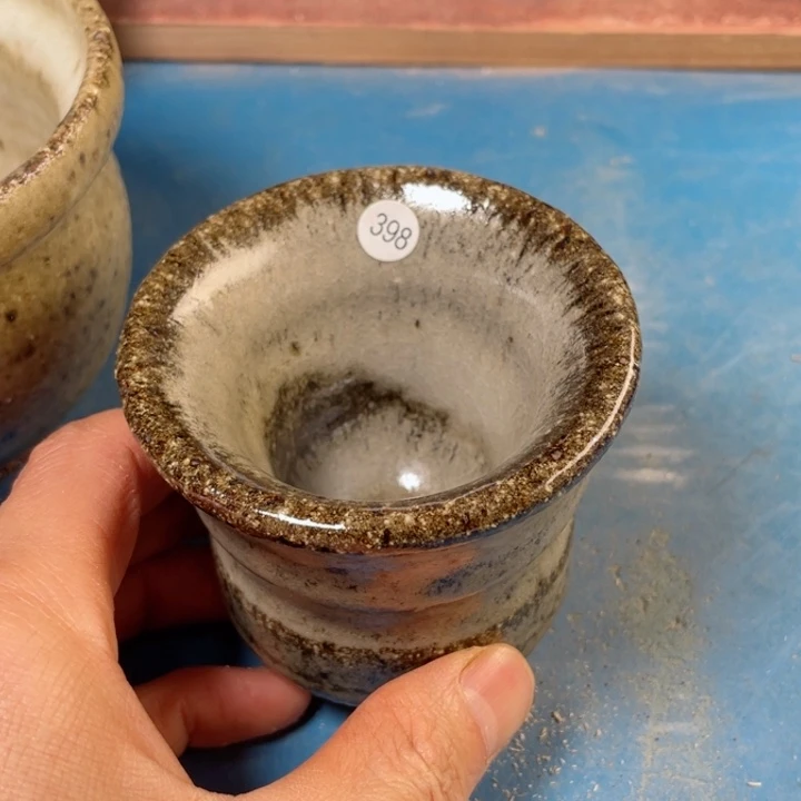 茶宠盏盏灯都是我的爱呀我