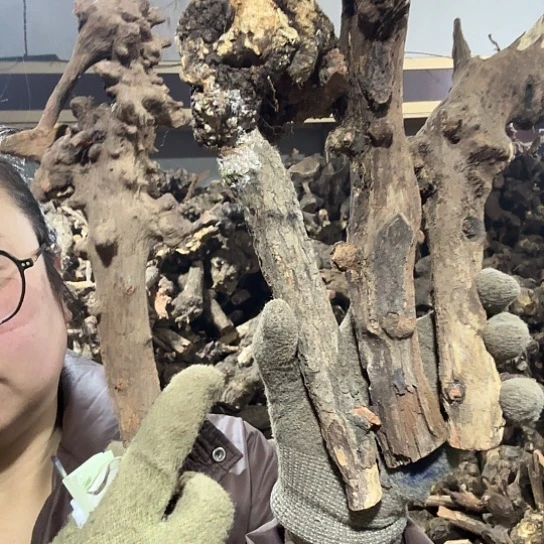 香榧木万****心火琉璃的故事毛看看摆件