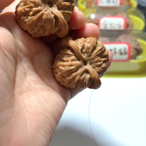 吊坠文玩核桃凹底龙公子
