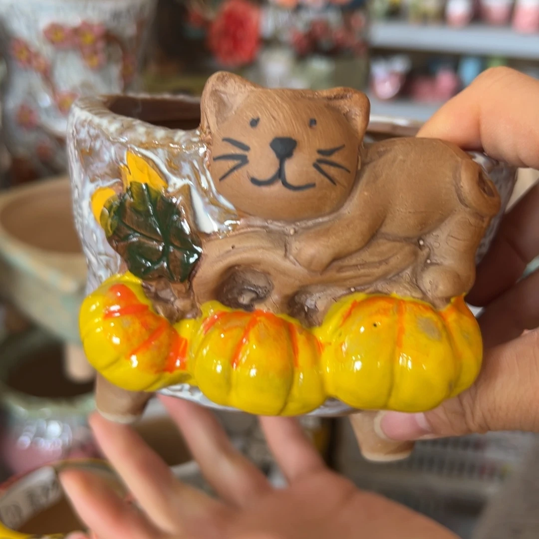 花盆，满20米发货爱退款拉黑