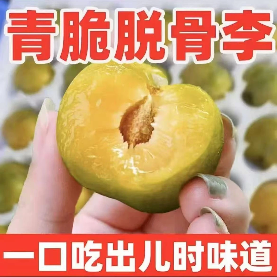 Q新鲜正宗脱骨青脆李脱骨李新鲜应季水果