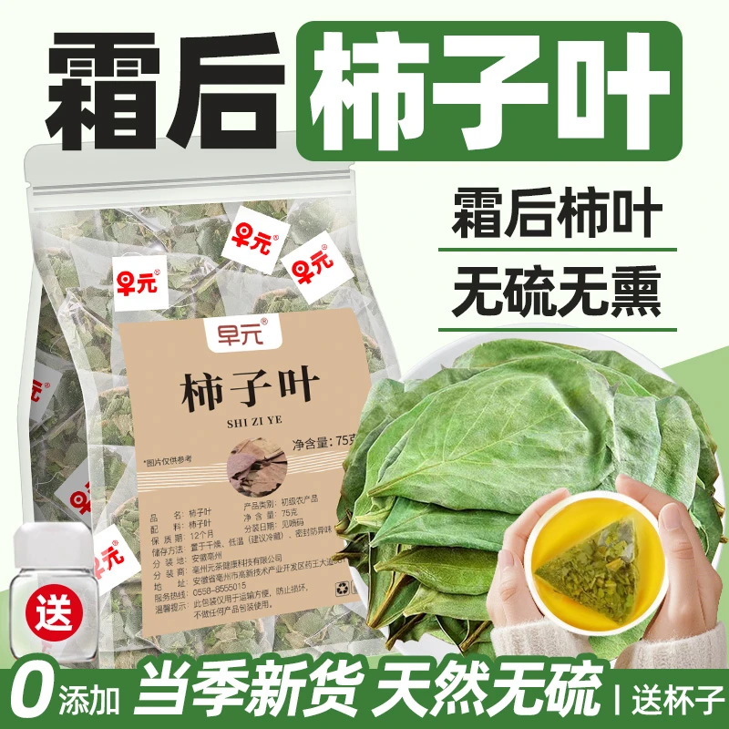 柿子叶茶茶包霜后干柿子叶降天然中老年茶非养生泡水喝的东西