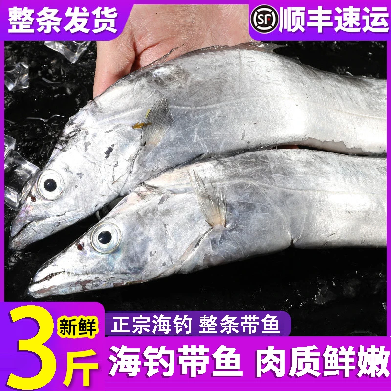 正宗带鱼新鲜冷冻整条刀鱼小眼油带鱼段东海钓带鱼海鲜3斤