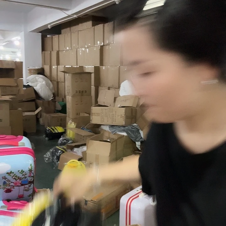 硬塑料蜜蜂行李箱