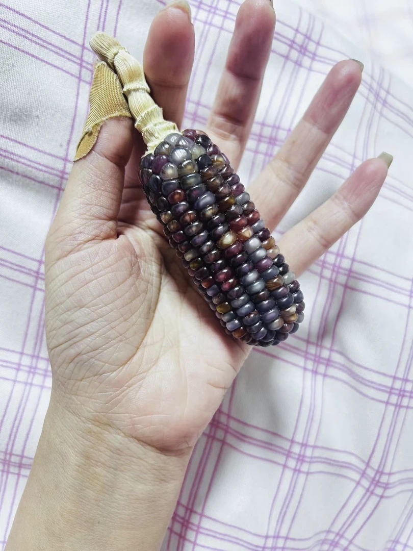 文玩玉米手把件盘玩手工玉米毛料补粒子款定制手工饰品摆件NO退换