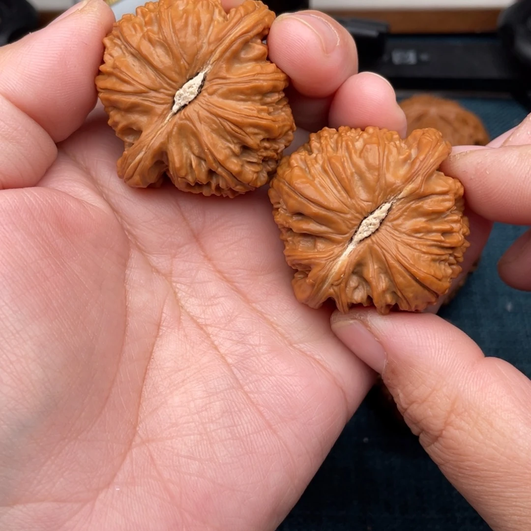 把件文玩核桃全品红皮同尺同克白狮子44