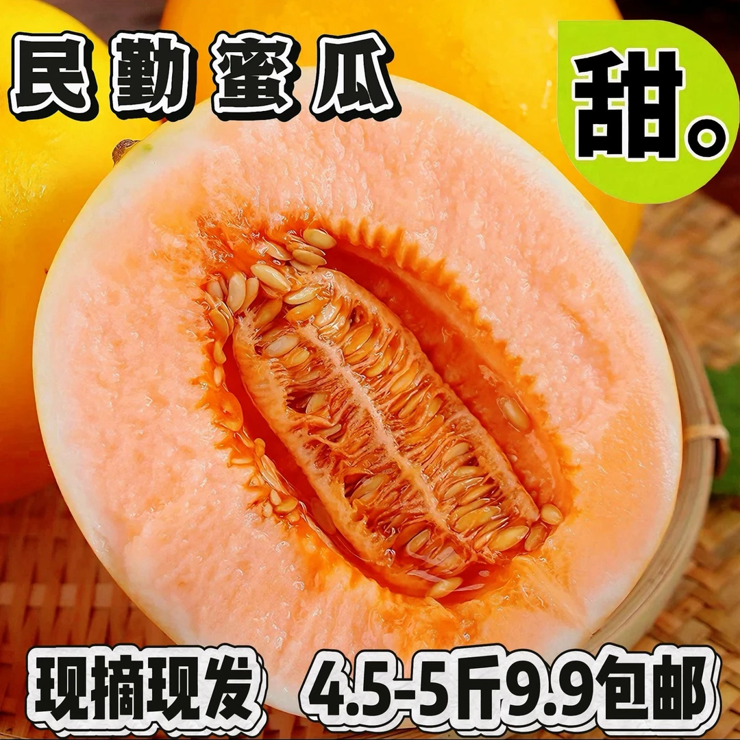 甘肃民勤蜜瓜新鲜水果当季黄金蜜瓜甜密瓜时令