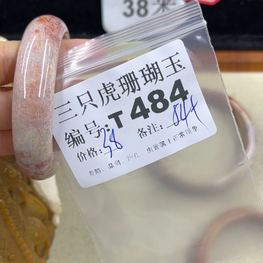 黑***吱硅化珊瑚（珊瑚玉）h未镶嵌