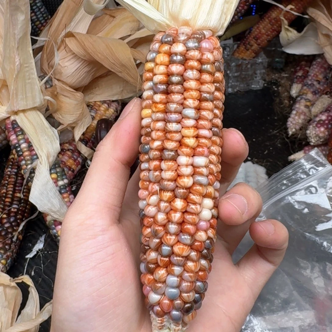 柏香籽/百香籽吊坠薏****当