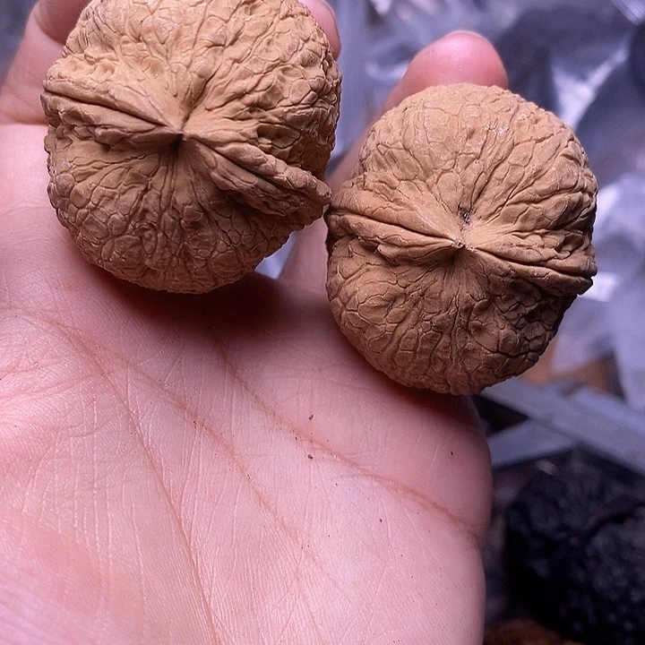 把件文玩核桃   130