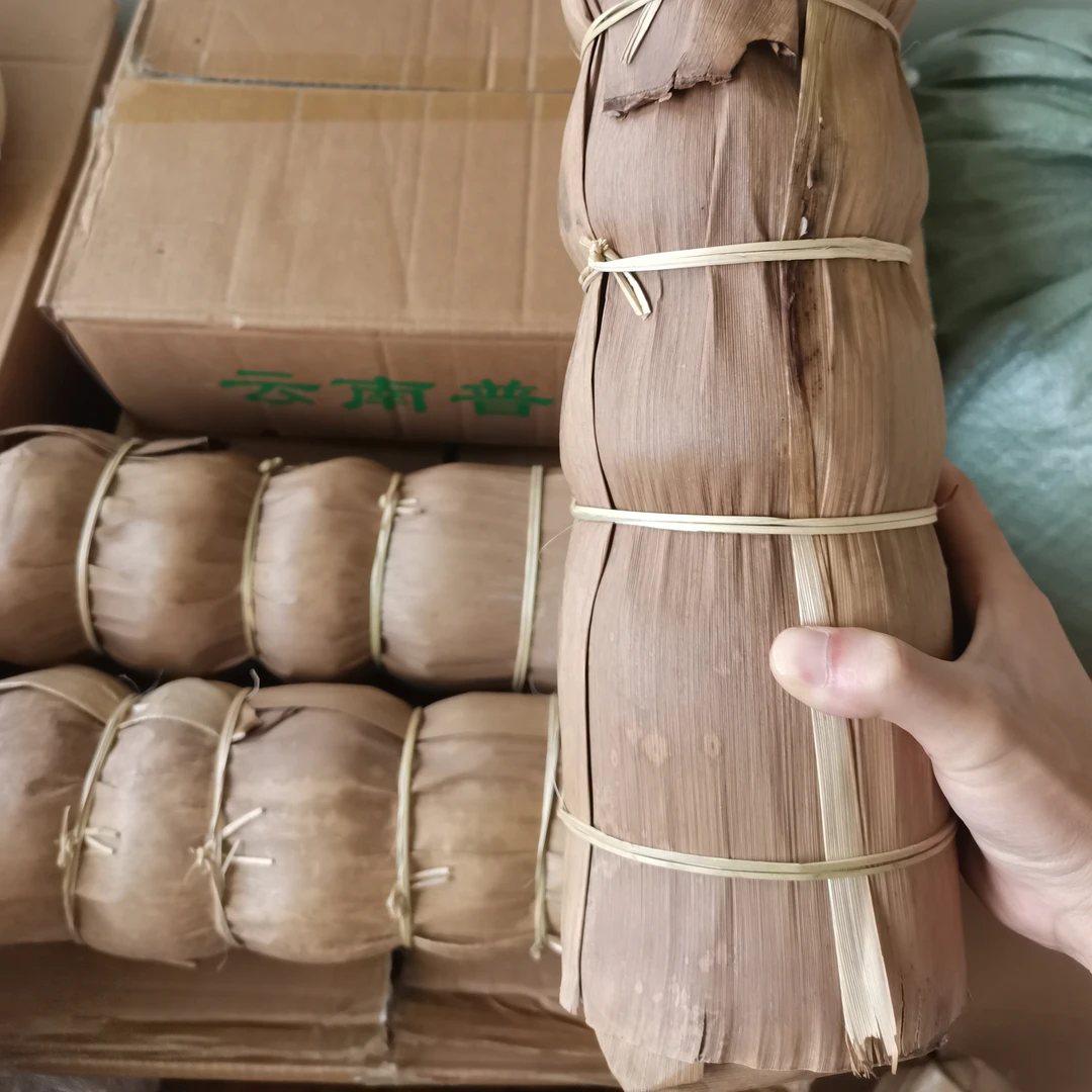 云南高黎贡山古树螃蟹脚白茶沱