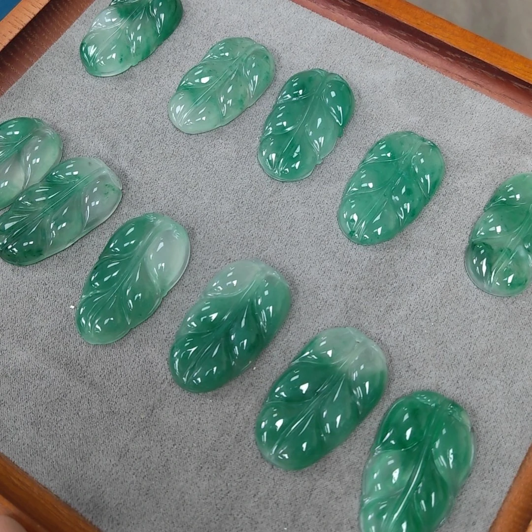 李掌柜- XQ028-飘花金枝玉叶多样性发一