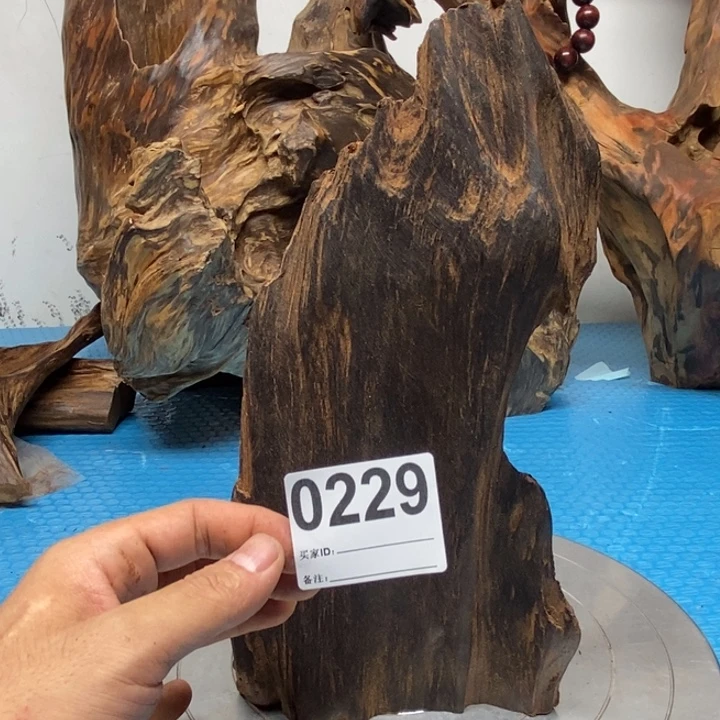 纯***健木我在外面吃饭呢30