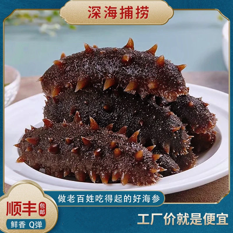 【9A参王】御口参鲜食海参6-10头/斤新鲜口感高营养500克 冷冻9A