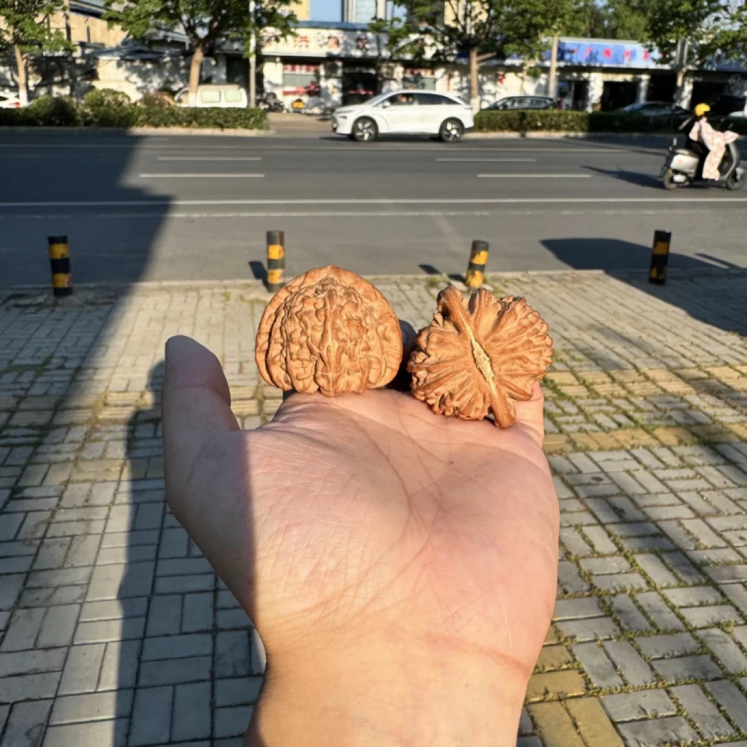 文玩核桃四座Lou •Gy5316699•大官帽大尺寸精品收藏手把件
