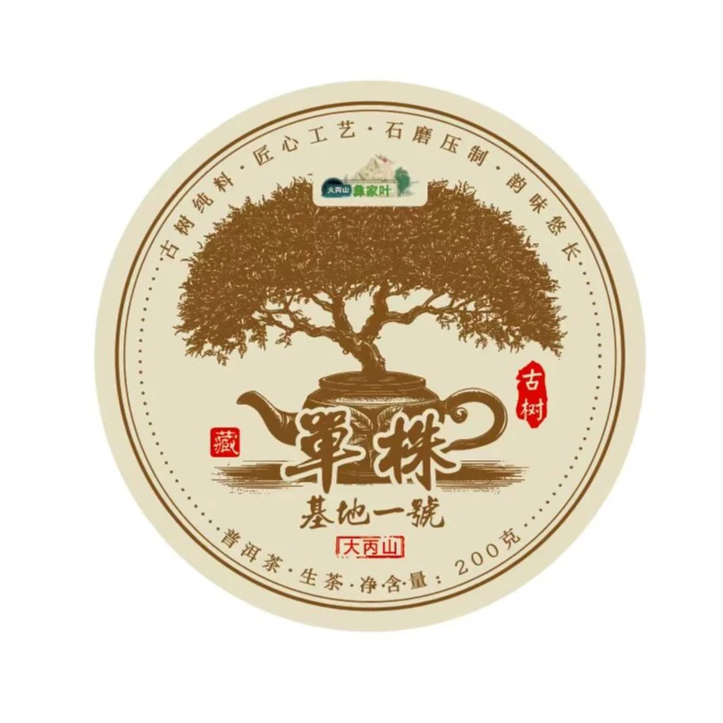 【村长严选1】2024基地一号单株云南普洱茶 饼茶