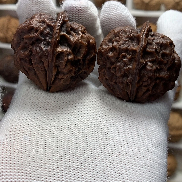核桃41尺火焰灵姬3号