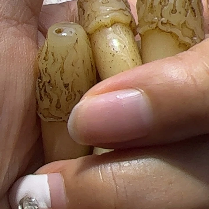 大果紫檀（缅甸花梨）观音呀吊坠